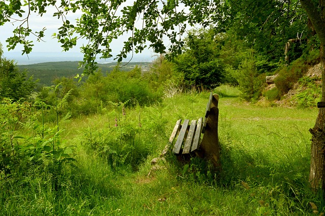成长中的亮 成长中的亮