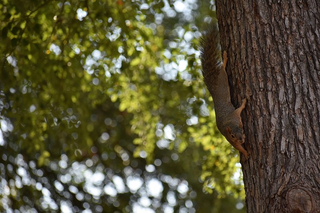 长征途中一 长征途中一