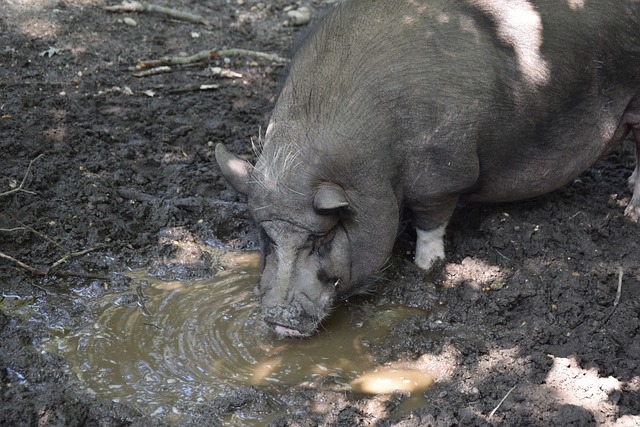 多线作战中 多线作战中